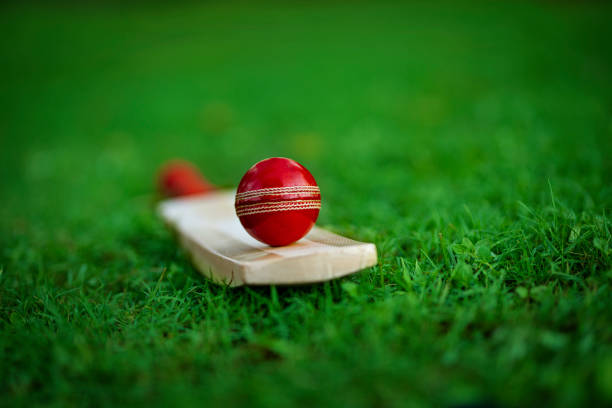 cricbet99