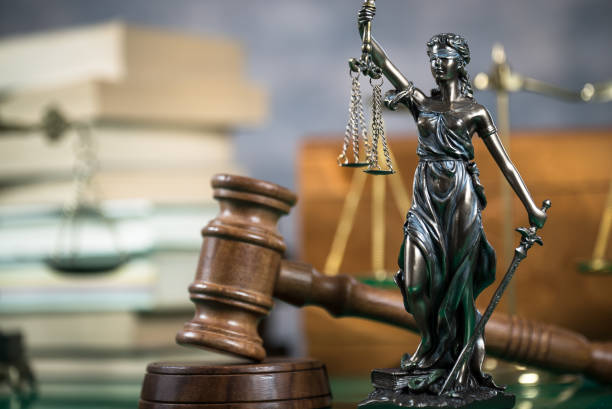 High Court Advocate