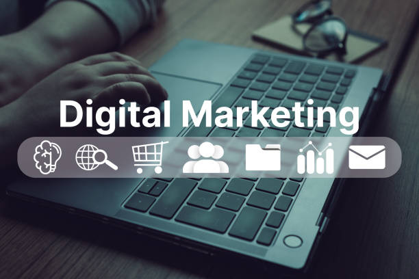 fort collins digital marketing